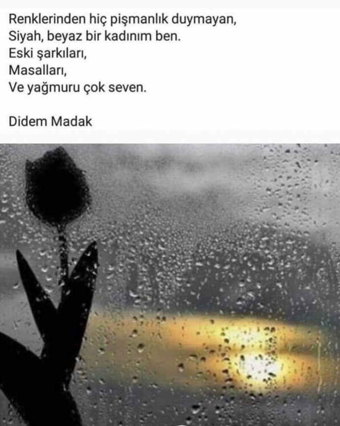 Kendinizi nasıl biri olarak tanımlarsınız?