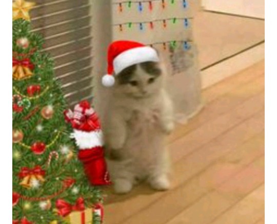 Gidip Noel ışıklarını görmeyi sever misin?