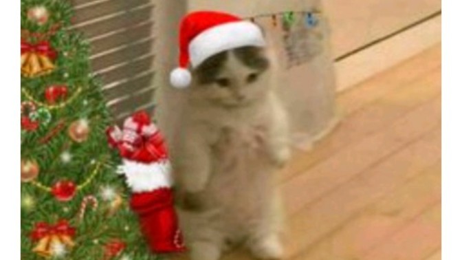 Gidip Noel ışıklarını görmeyi sever misin?