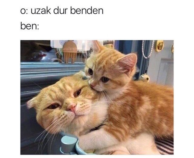 Laf dinler misiniz?
