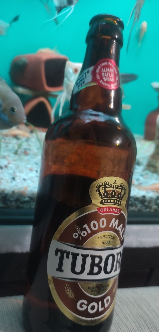 Tuborg mu Efes mi?