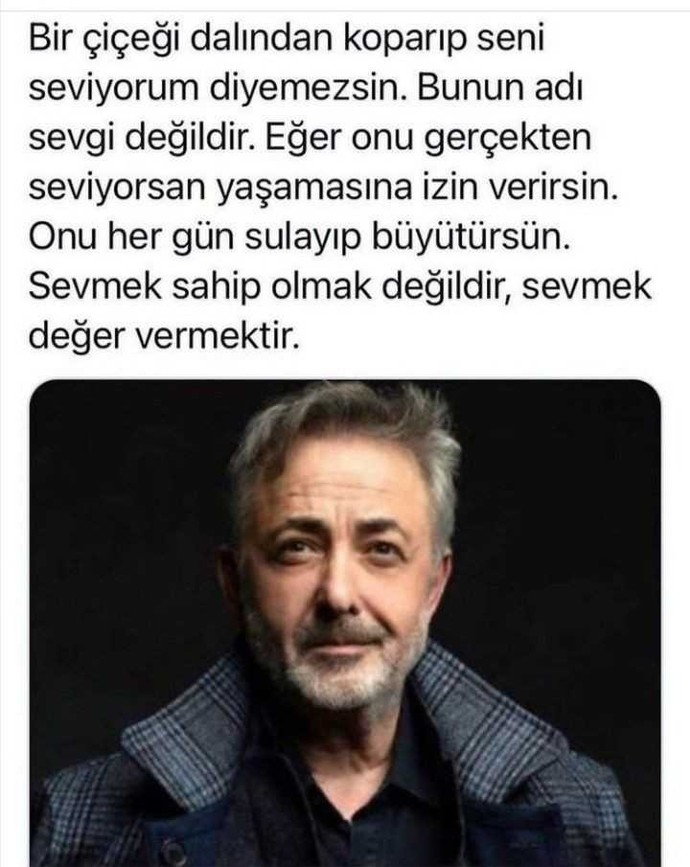 Sevgi sözcüğü nedir?