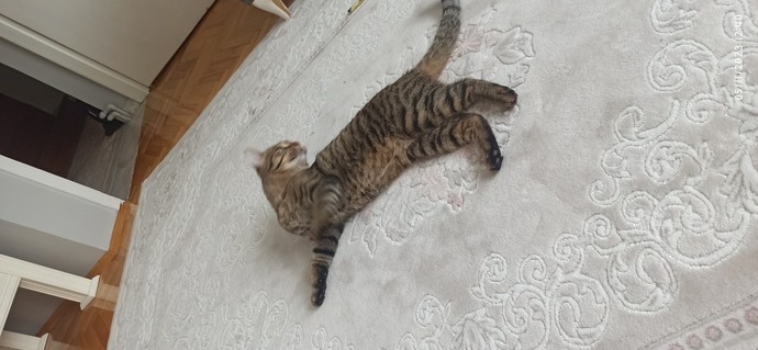 Neden herkesi bir keseye koyuyoruz?