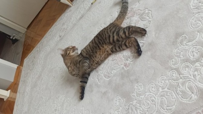 Neden herkesi bir keseye koyuyoruz?