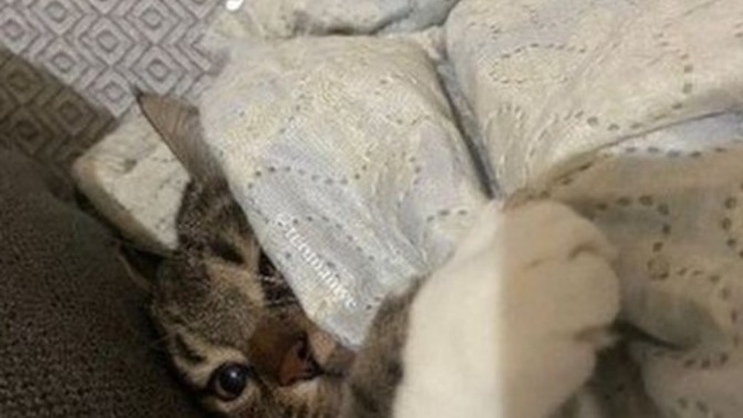 Yattığınız gibi uyuyabiliyor musunuz?