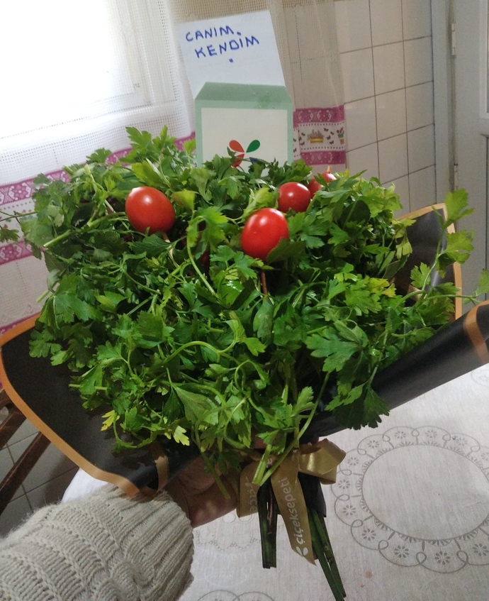 Kokina çiçeği alan bir sevgiliniz var mı?