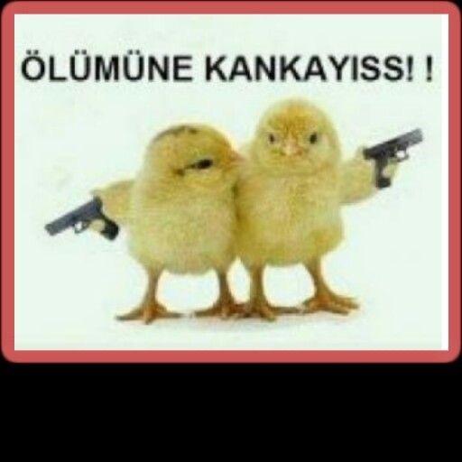 Hangi tecrübeleriniz bu günkü olduğunuz karakterinizi daha çok etkiledi?