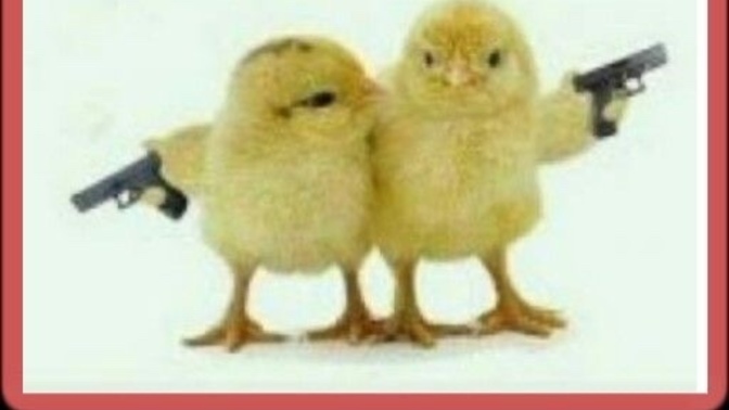 Hangi tecrübeleriniz bu günkü olduğunuz karakterinizi daha çok etkiledi?