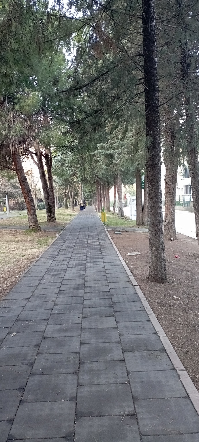 Hayat hangi kapıları açıyor?