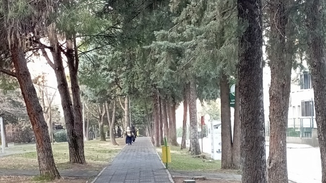 Hayat hangi kapıları açıyor?