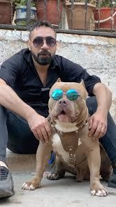 Erkekler kızların ilgisini çekmek için mi kedi, köpekle fotoğraf çekerler?