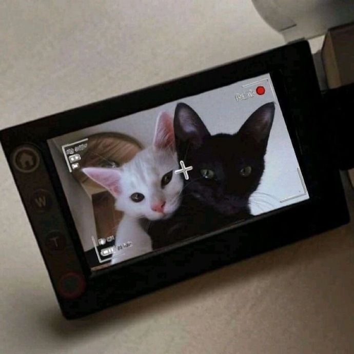 Sürekli fotoğraf çekilmek sizi bunaltır mı?