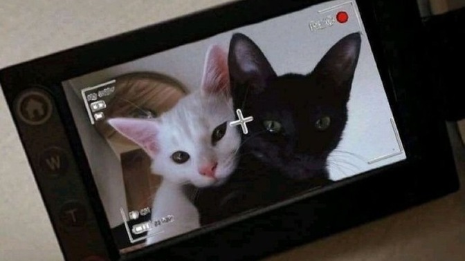 Sürekli fotoğraf çekilmek sizi bunaltır mı?