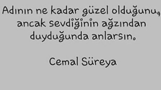 Bana bir takma ad verseydin bu ne olurdu?