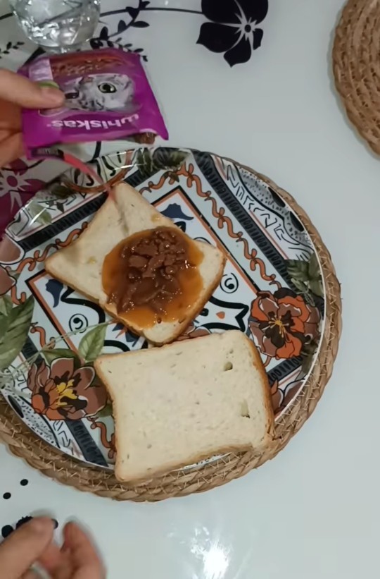 Atom tost yapıyorum, isteyen var mı?