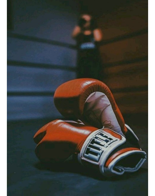 Hiçbir dövüş sporu eğitmeninin sizi mahvettiği oldu mu?