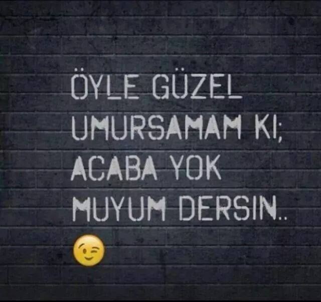 Bazı oğlanlar prens gibi davranılmayı hak etmiyor mu? Prensler gibi davranılmak mı istiyorlar?