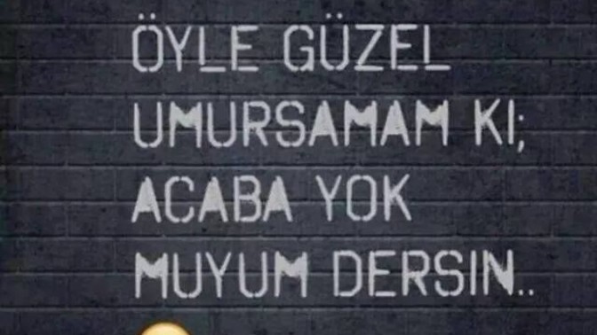 Bazı oğlanlar prens gibi davranılmayı hak etmiyor mu? Prensler gibi davranılmak mı istiyorlar?