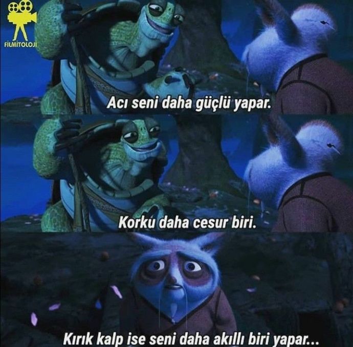 bilgecan tosbağa