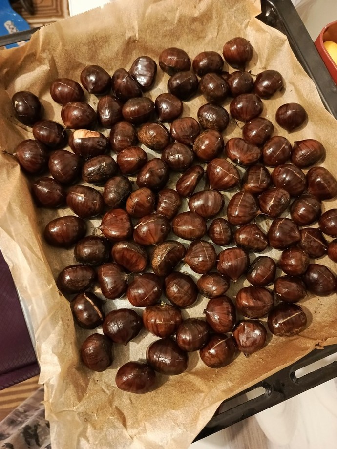 Kestane severlerı gorelım?
