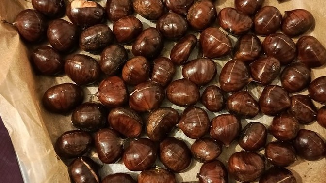 Kestane severlerı gorelım?