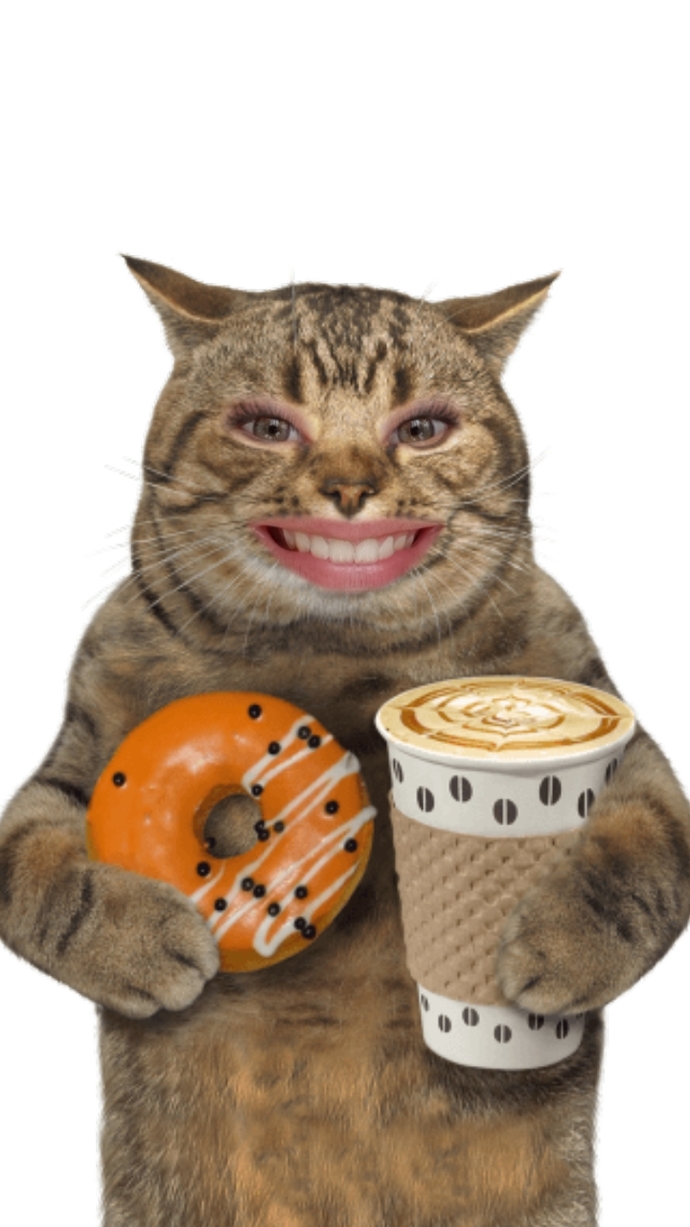 Bir kedi olsaydınız nasıl bir kedi olurdunuz?