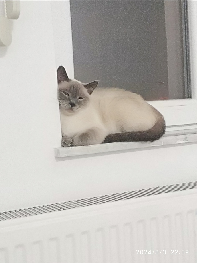 Evinizde her şeye müdahale eden var biri mi? 
