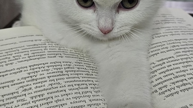 Evinizde her şeye müdahale eden var biri mi? 
