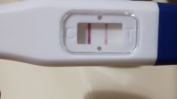 Bu yıl sizi en çok şaşırtan şey ne oldu?