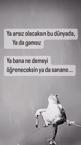 Gamsız bir insan mısınız yoksa her şeyi kafaya takar mısınız?