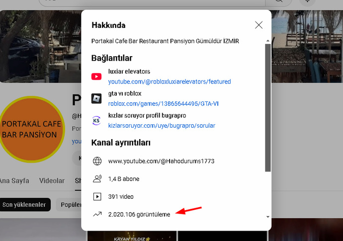 Youtube kanalım 1407 abone oldu bu başarımı?