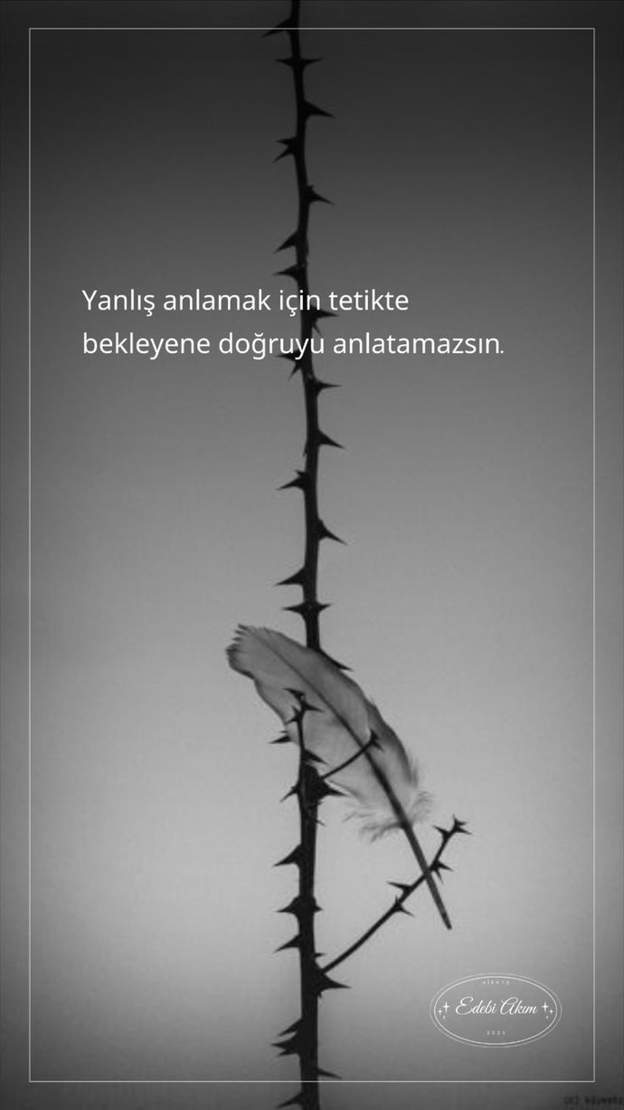 Hiç yanlış anlaşıldınız mı?