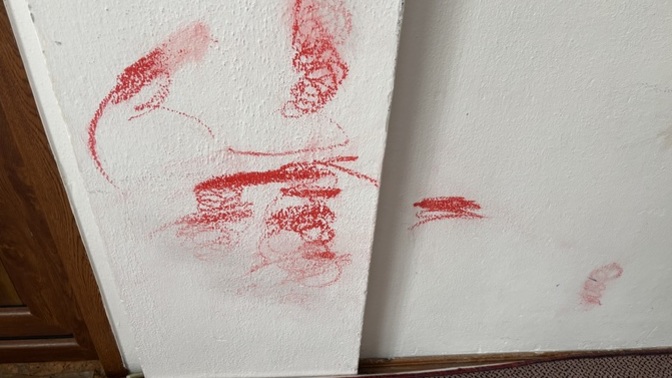 Duvardaki pastel boya lekesi nasıl çıkar acilll?