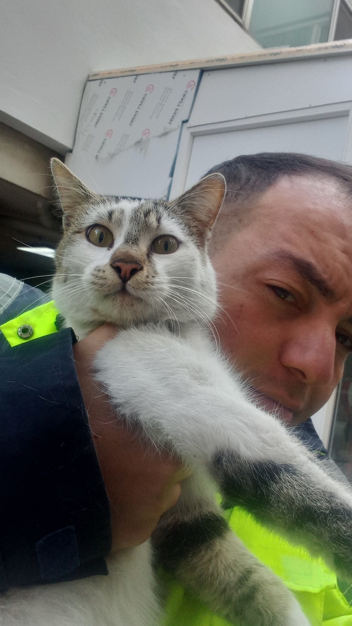 Kediniz köpeğiniz size aşık mı?