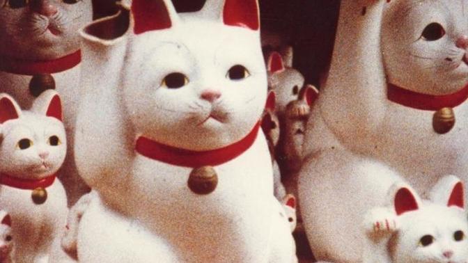 Belgesel türündeki filmleri izlemeyi seviyor musunuz?