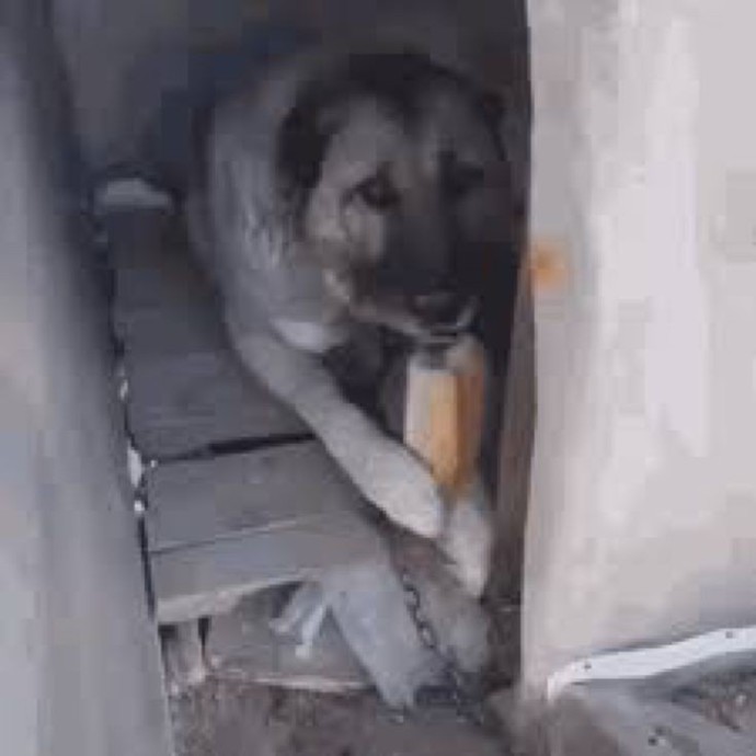 Hayat çok acımasız değil mi?