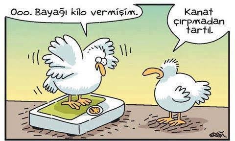 En son hangi konuda kararlar alıp sürdüremediniz?