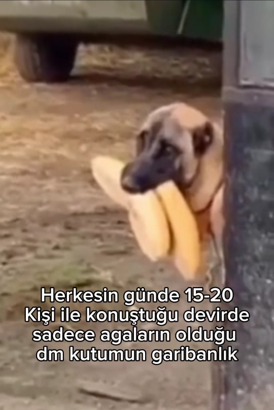 Günde kaç kişi ile flörtleșiyorsunuz?