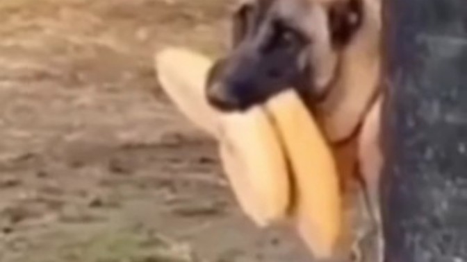 Günde kaç kişi ile flörtleșiyorsunuz?