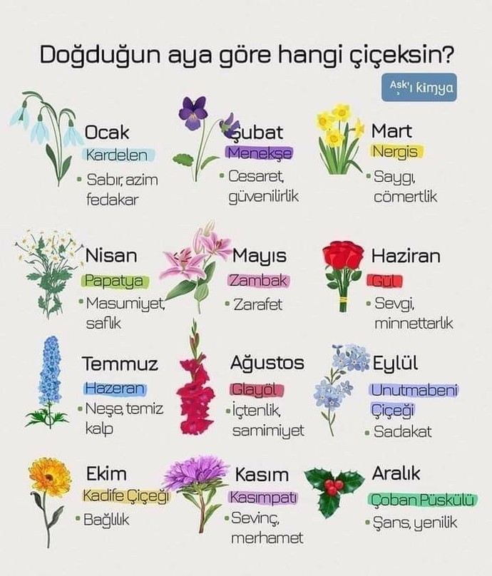 Doğduğun aya göre hangi çiçeksin?