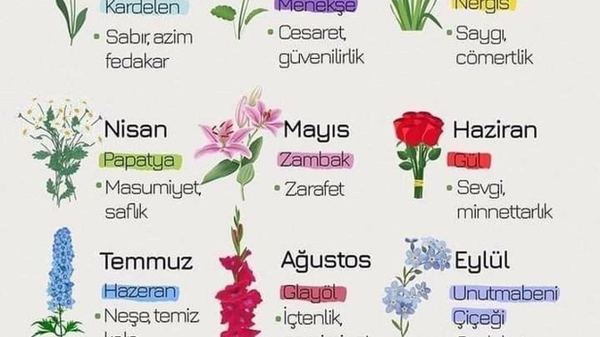 Doğduğun aya göre hangi çiçeksin?