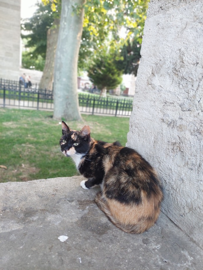 Çektiğiniz en güzel hayvan fotoğrafı nedir?