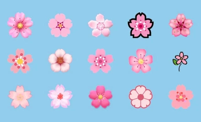 Erkeğe çiçek emojisi atılır mı?