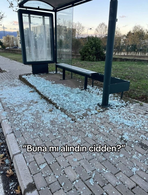 Bazı insanların gereksiz alınganlığı bunaltıcı değil mi?