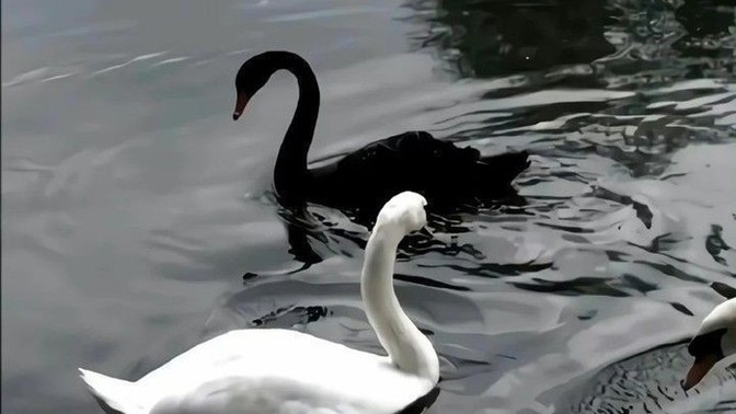 Hayallerinizi süsleyen biri var mı?
