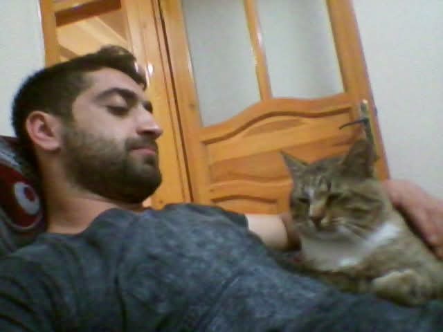 Sizce kedim niye böyle çok üzgün bakıyor, nasıl neşelendirebilirim?