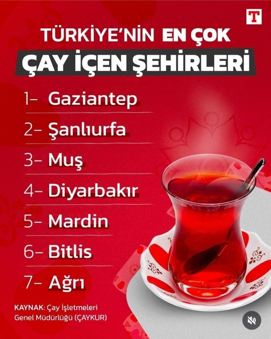 Çay ile aranız nasıl? Günde kaç bardak içiyorsunuz?