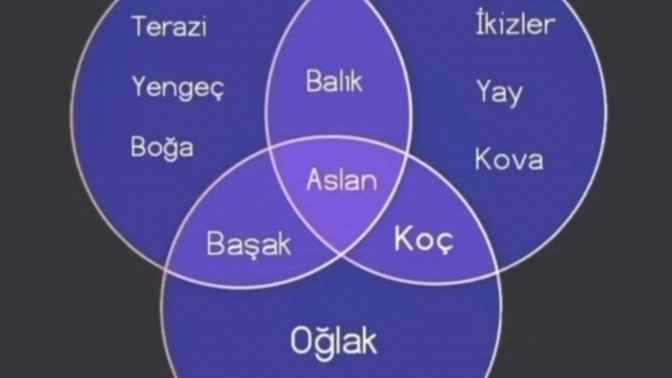 Sen hangi gruptasın?