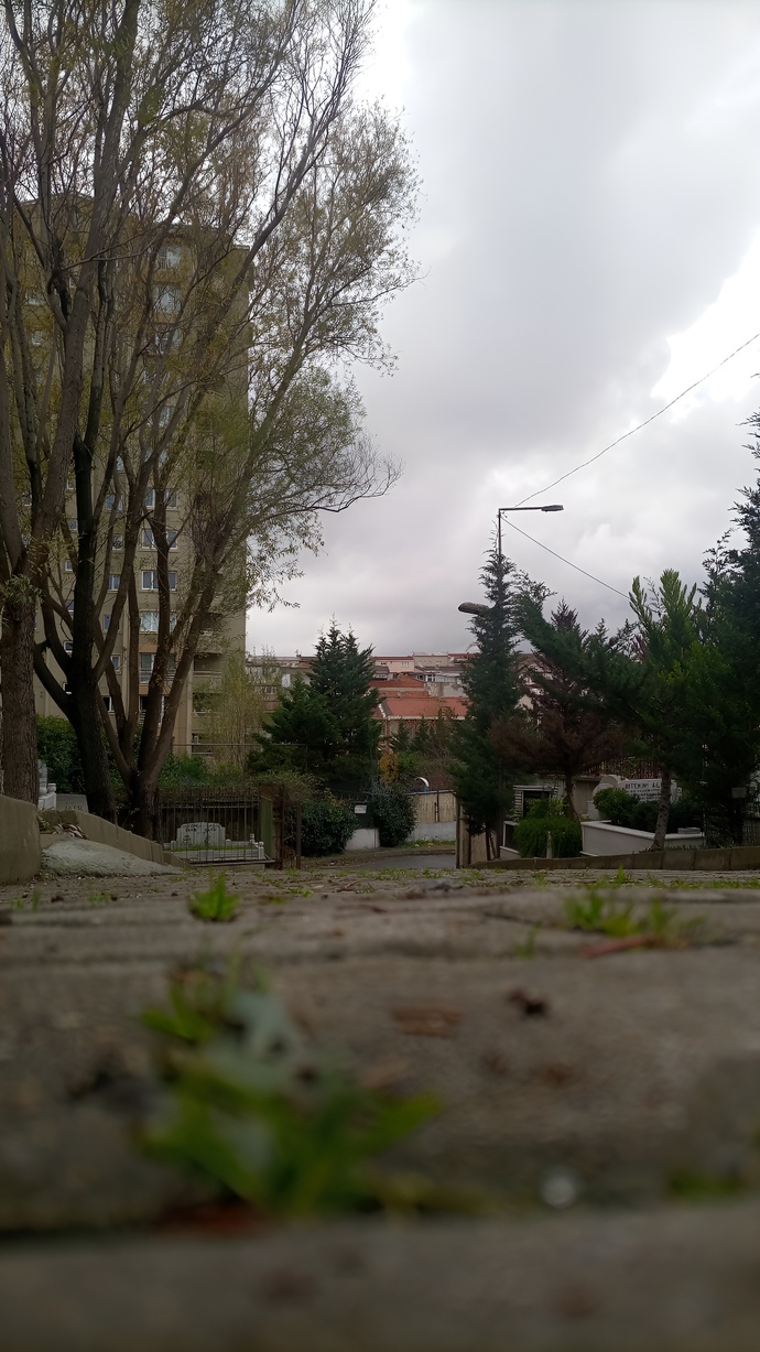 Telefonunuzda en son çekilen fotoğraf nedir?