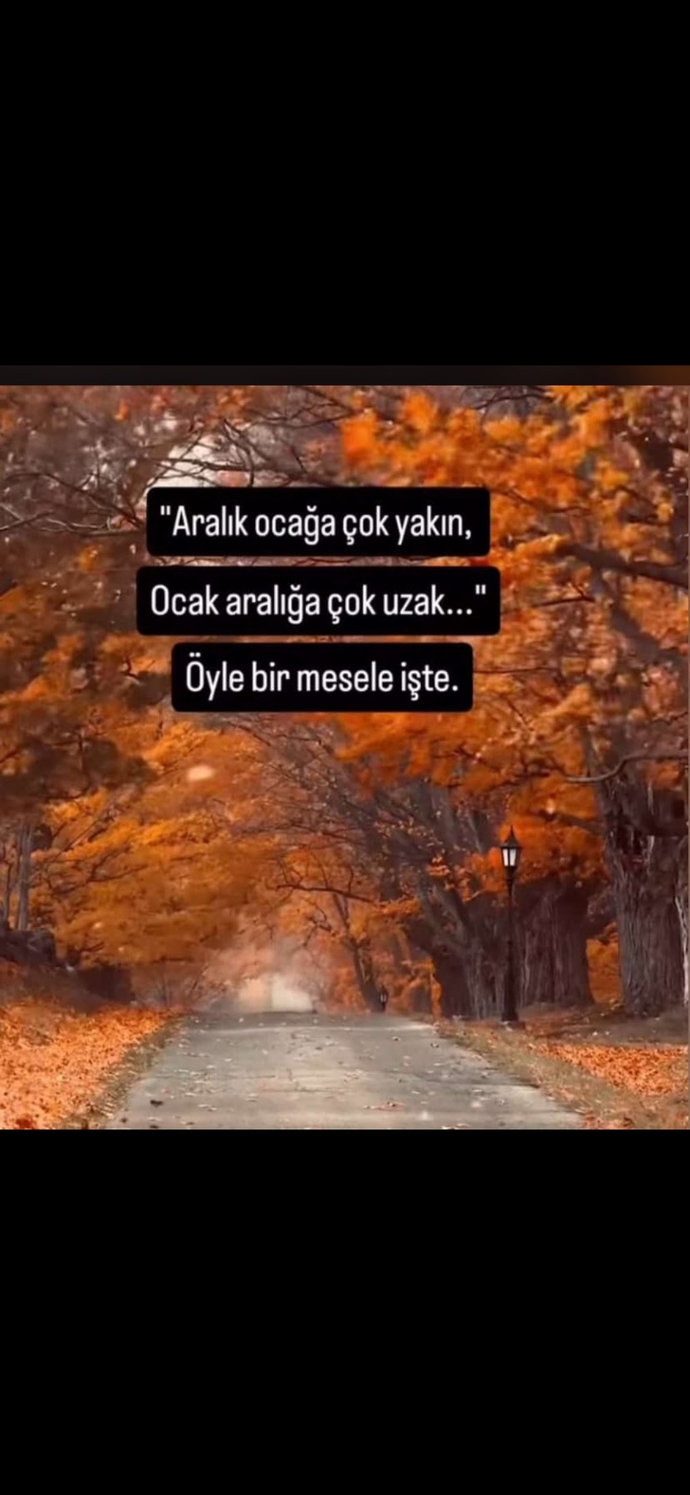 Aklın hayır diyorken kalbin evet diyorsa ne yapardın?